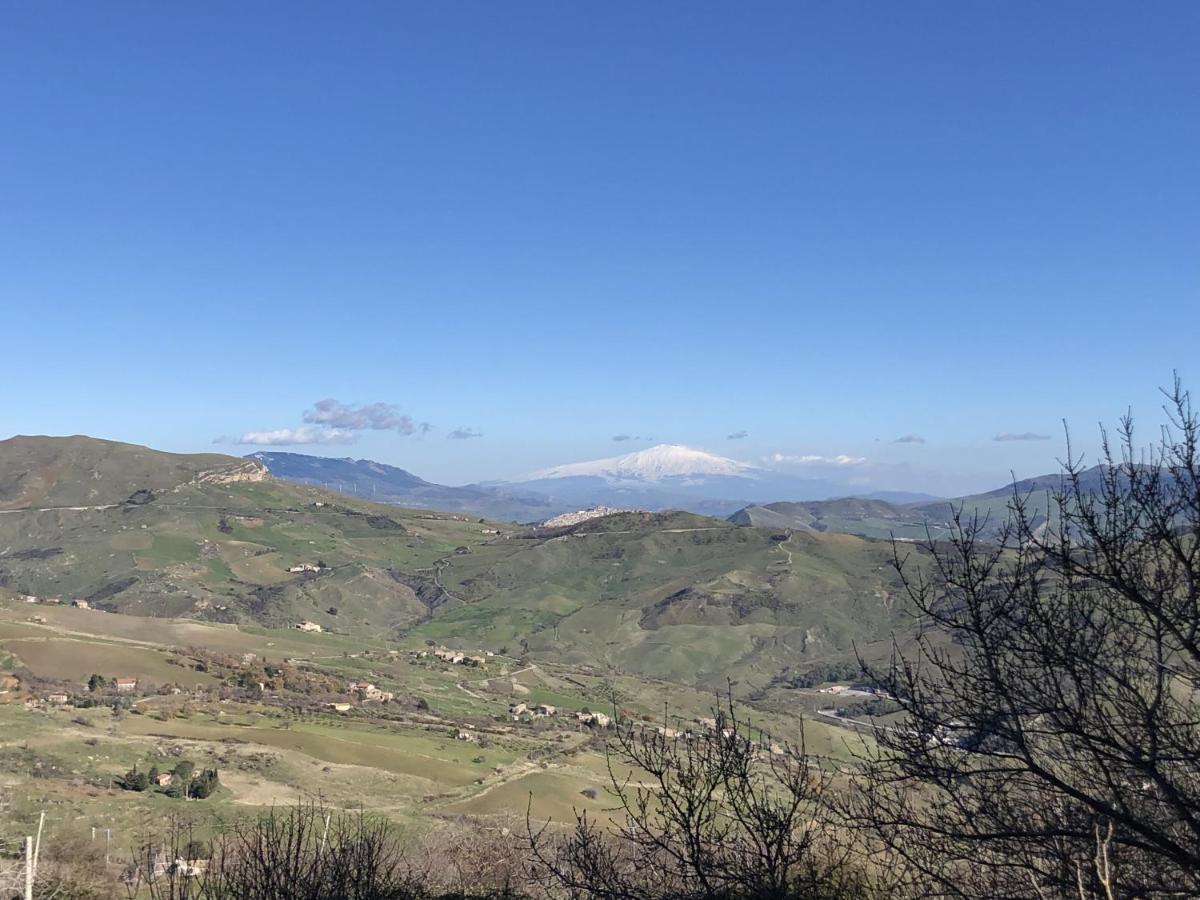 Verso Est بيتراليا سوبرانا المظهر الخارجي الصورة
